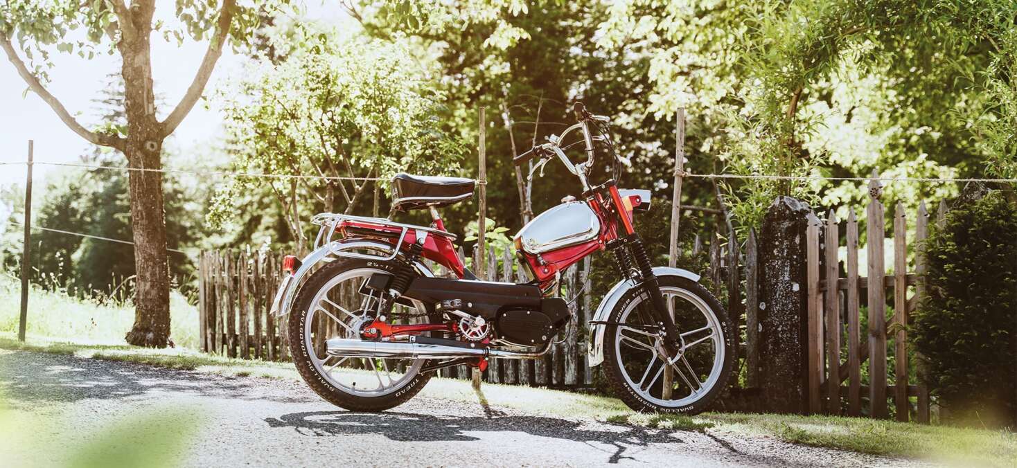 «SACHS» | mofakult